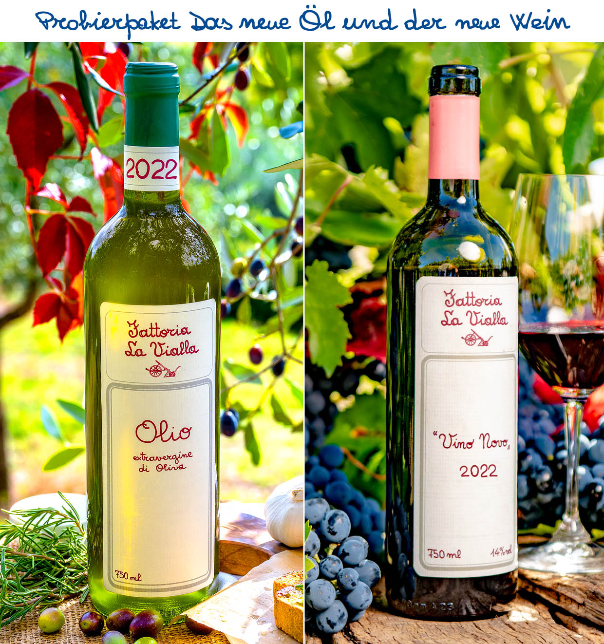 Probierpaket Das neue Öl und der neue Wein