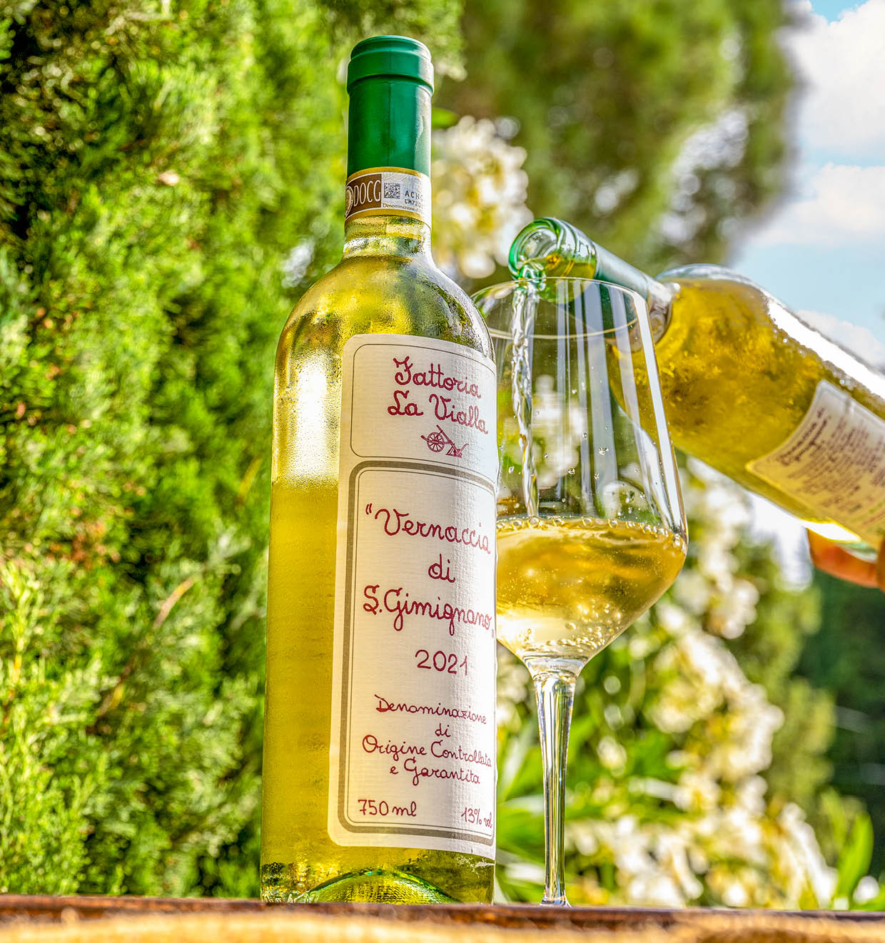 Vernaccia di San Gimignano D.O.C.G. 2021