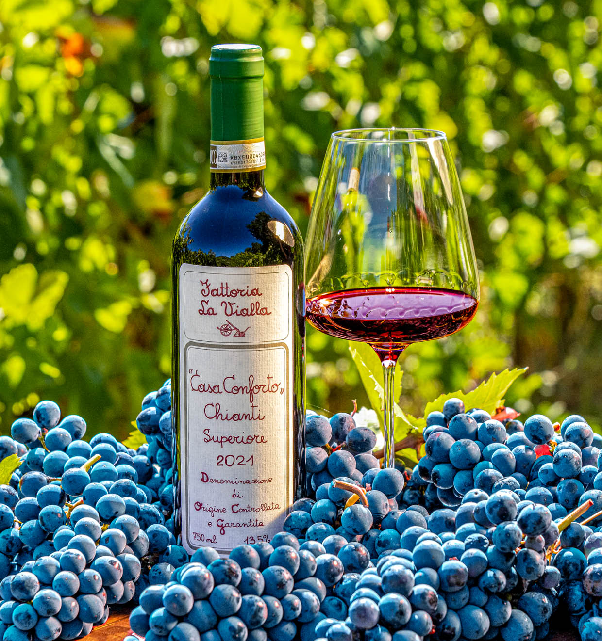 Casa Conforto Chianti Superiore D.O.C.G. 2021