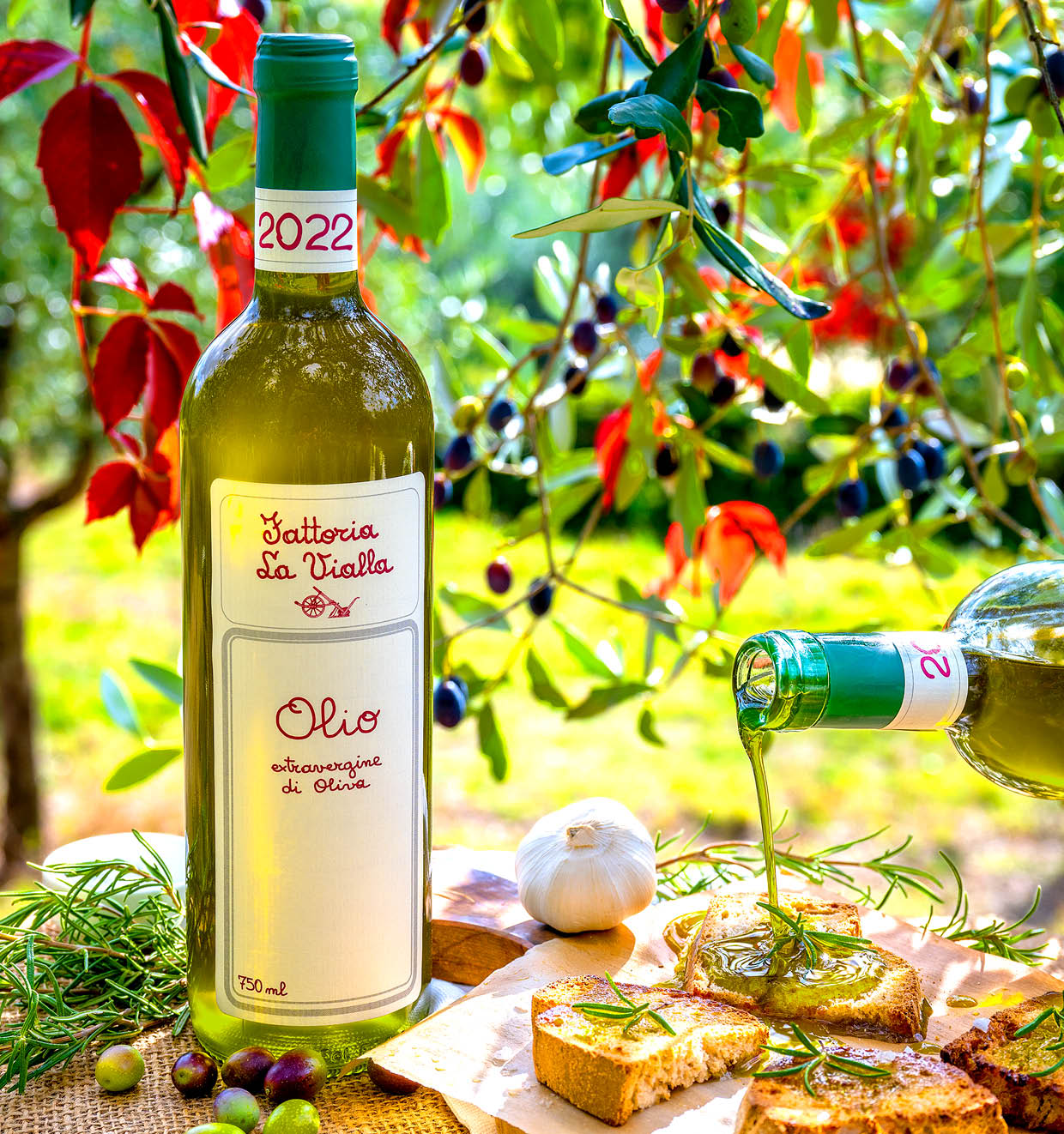 Olivenöl Extravergine 2022<br>'La Vialla'