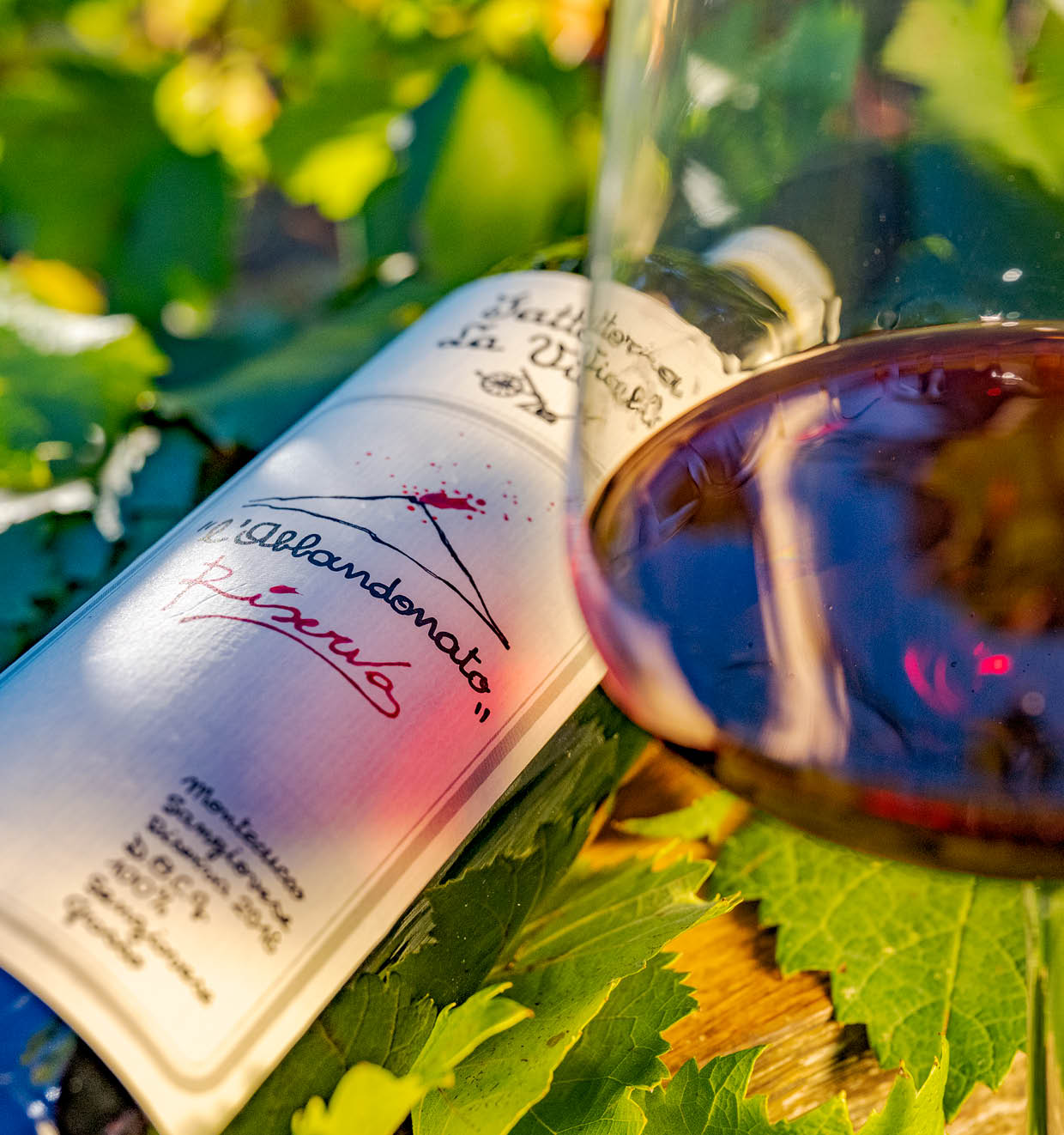 l'Abbandonato Riserva Montecucco Sangiovese D.O.C.G. 2018