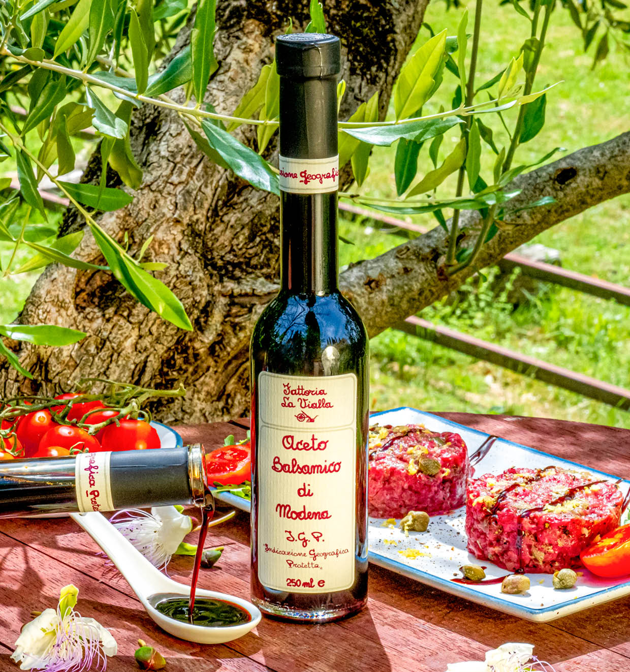 Aceto Balsamico di Modena I.G.P.