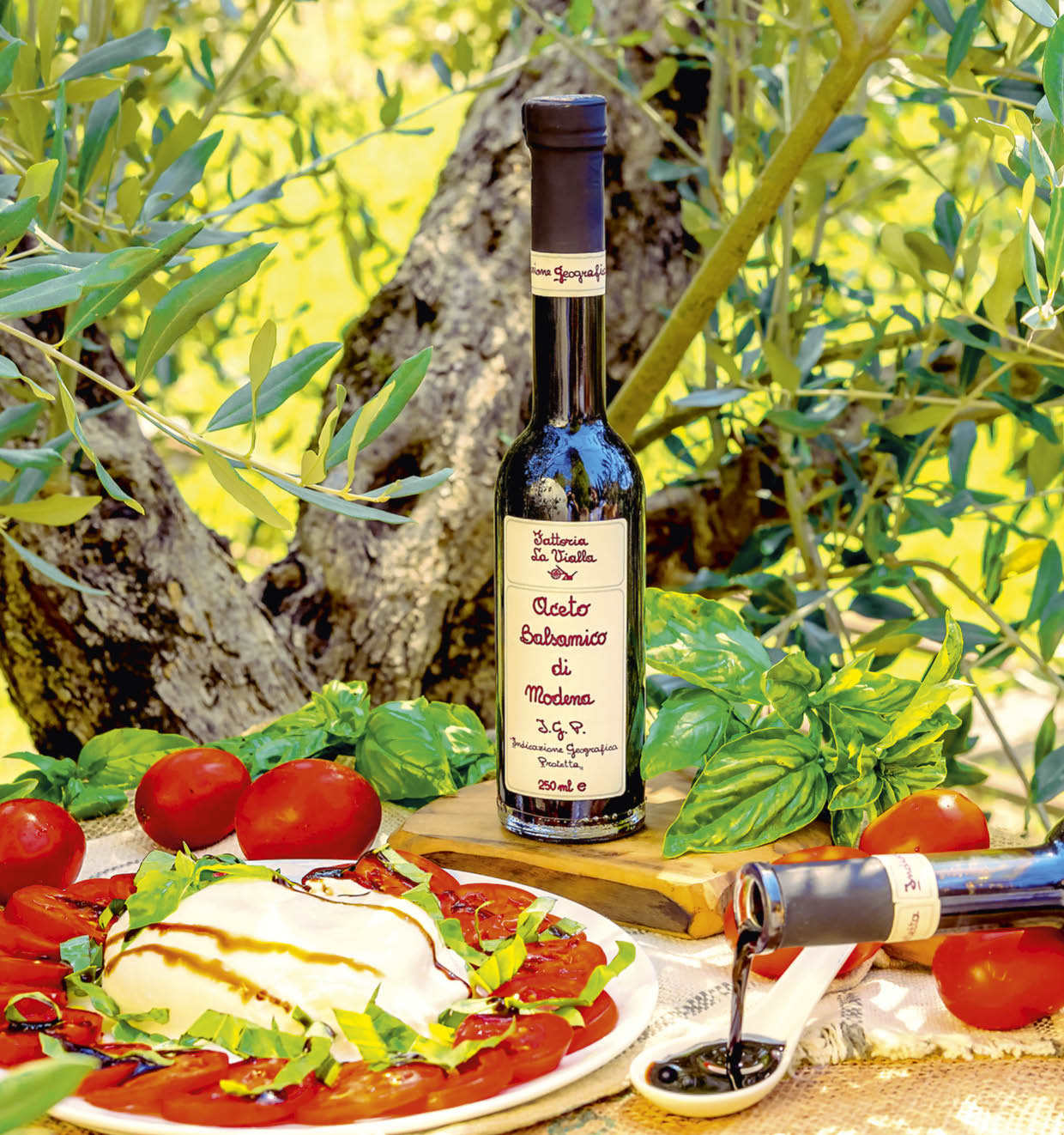 Aceto Balsamico di Modena I.G.P.