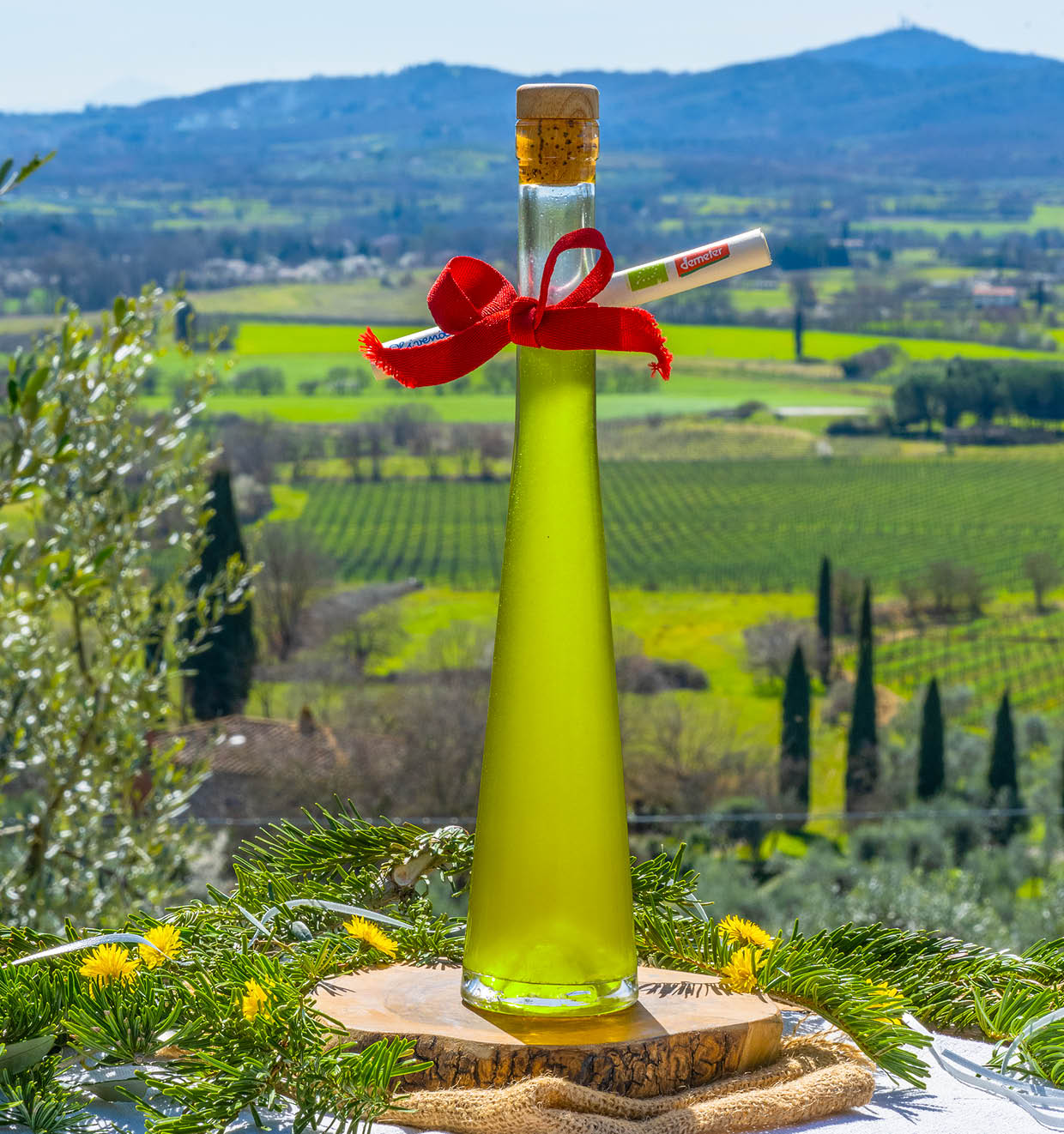 Die Olivenöl-Ampulle