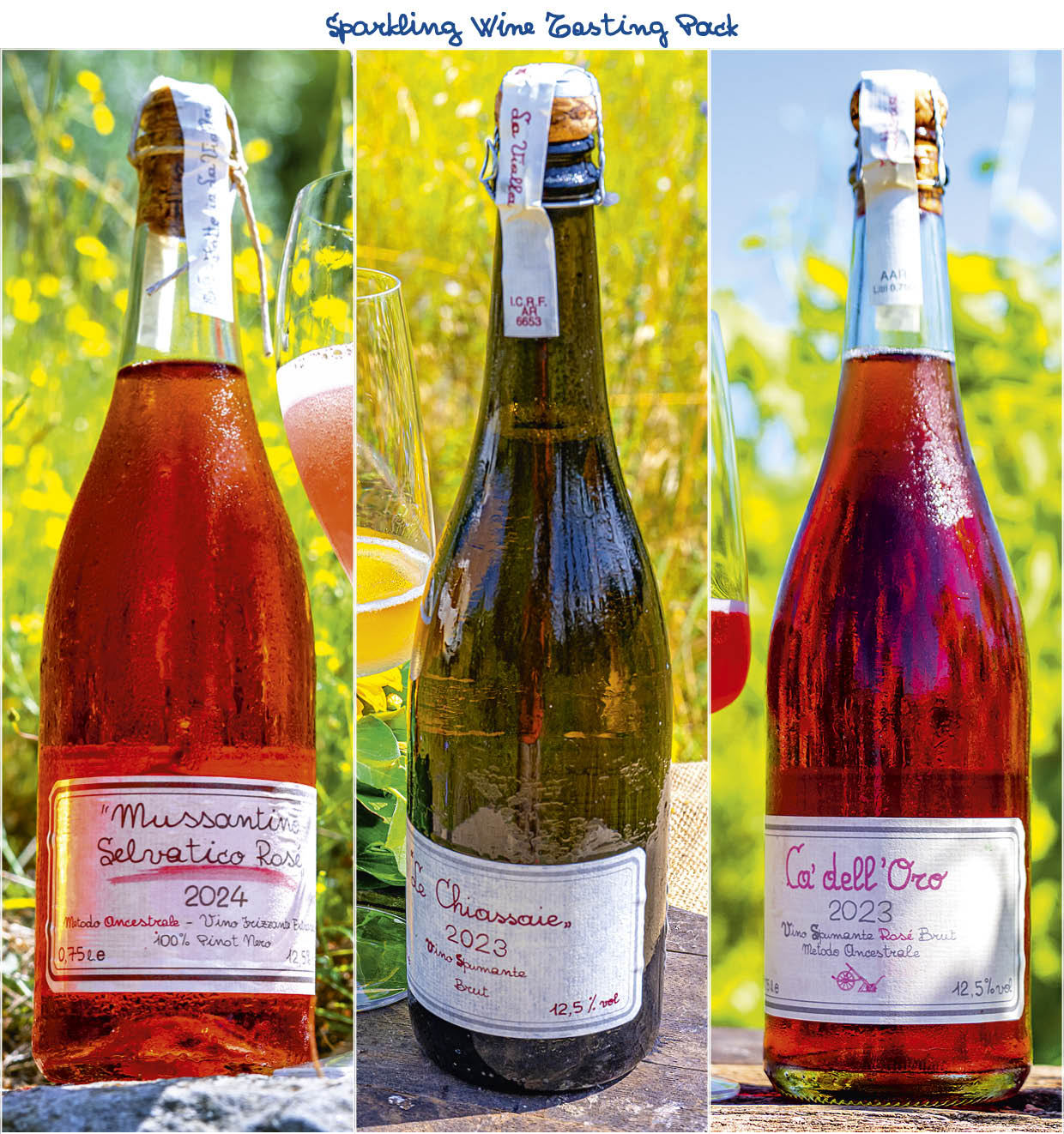 Sparkling Wine Tasting Pack