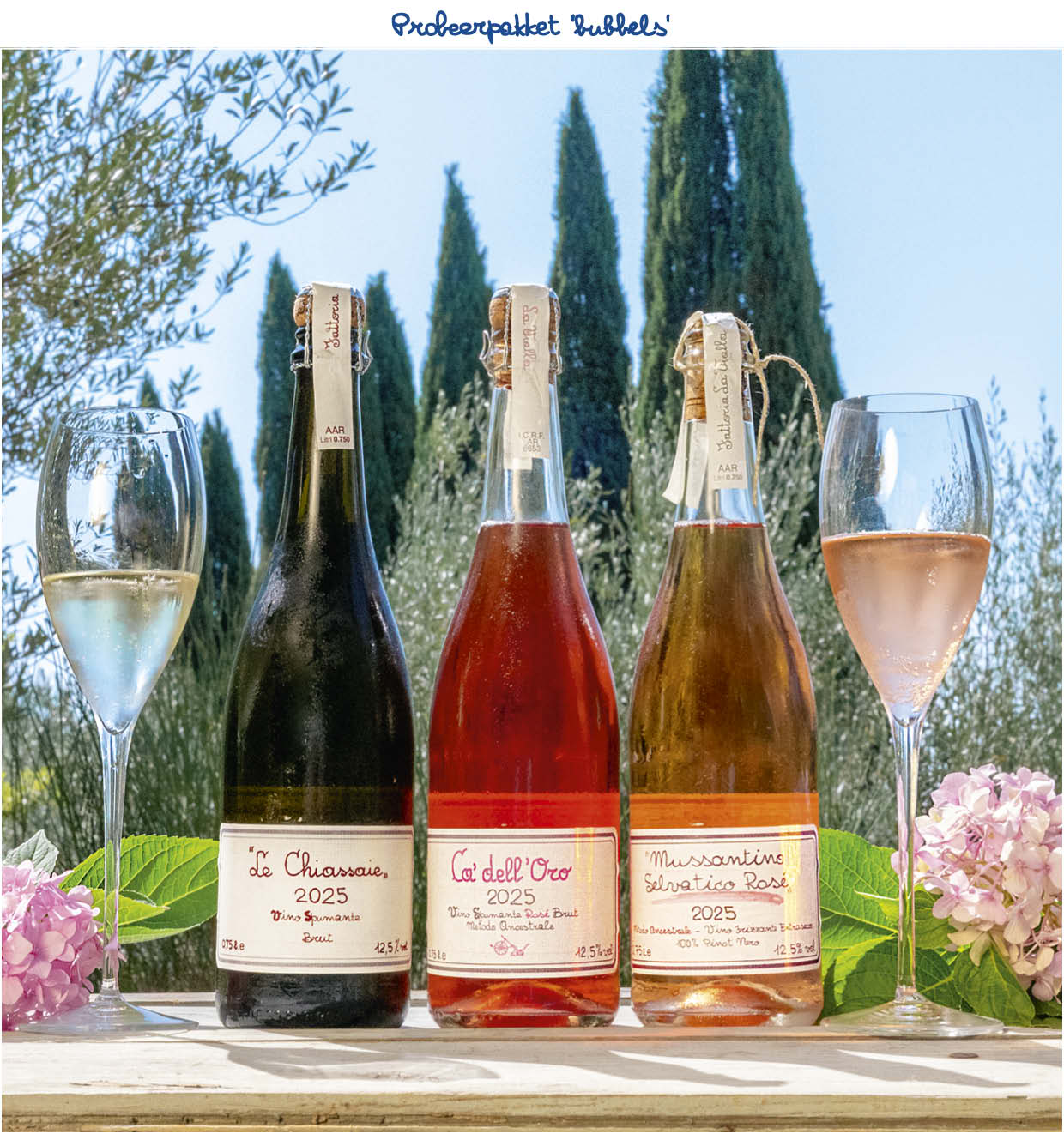  Probeerpakket ‘bubbels’