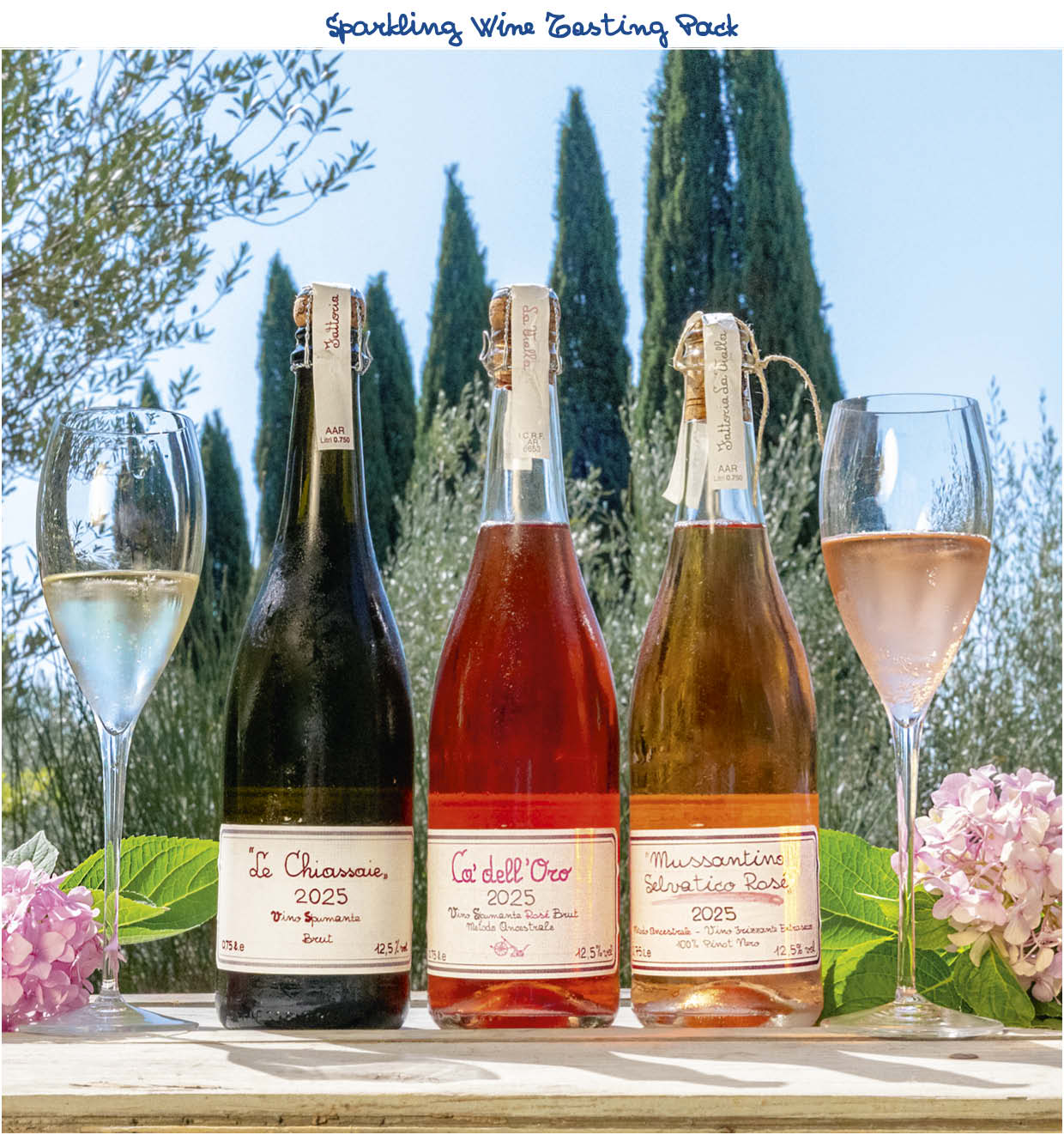 Sparkling Wine Tasting Pack