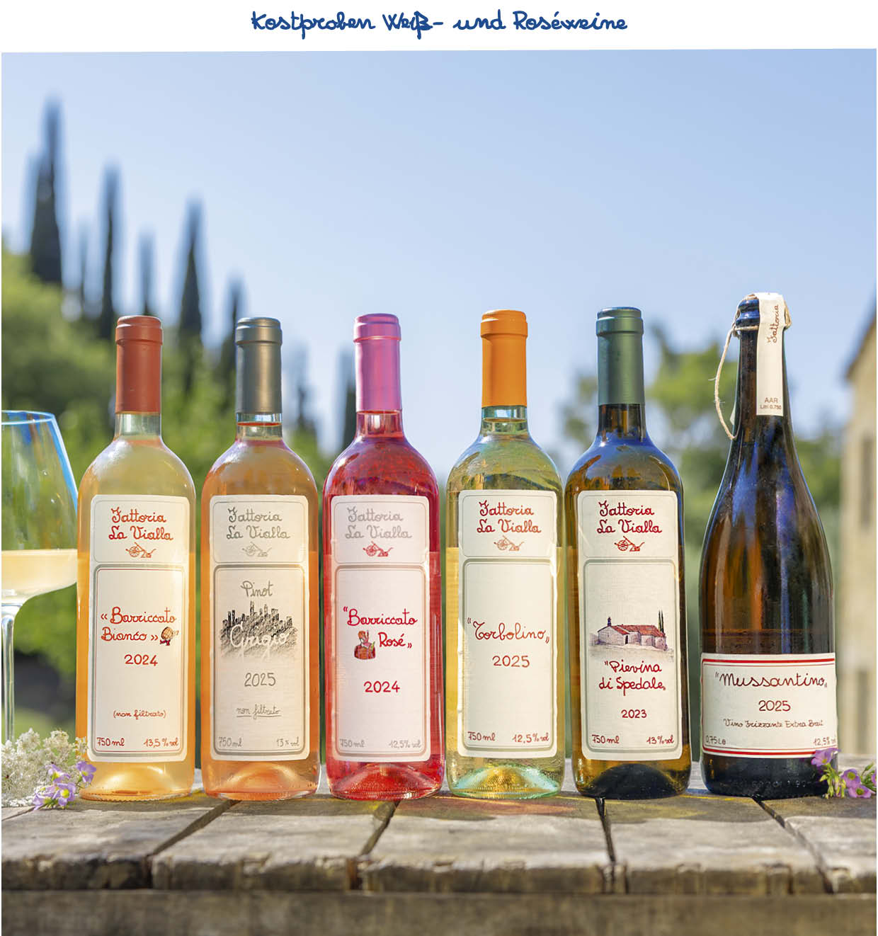 Probierpaket Weiß- und Roséweine