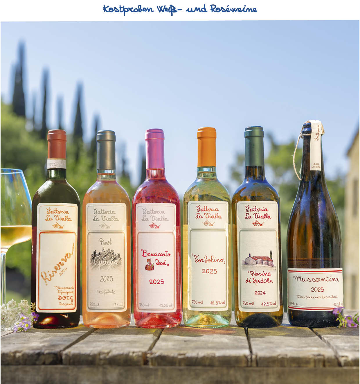 Probierpaket Weiß- und Roséweine