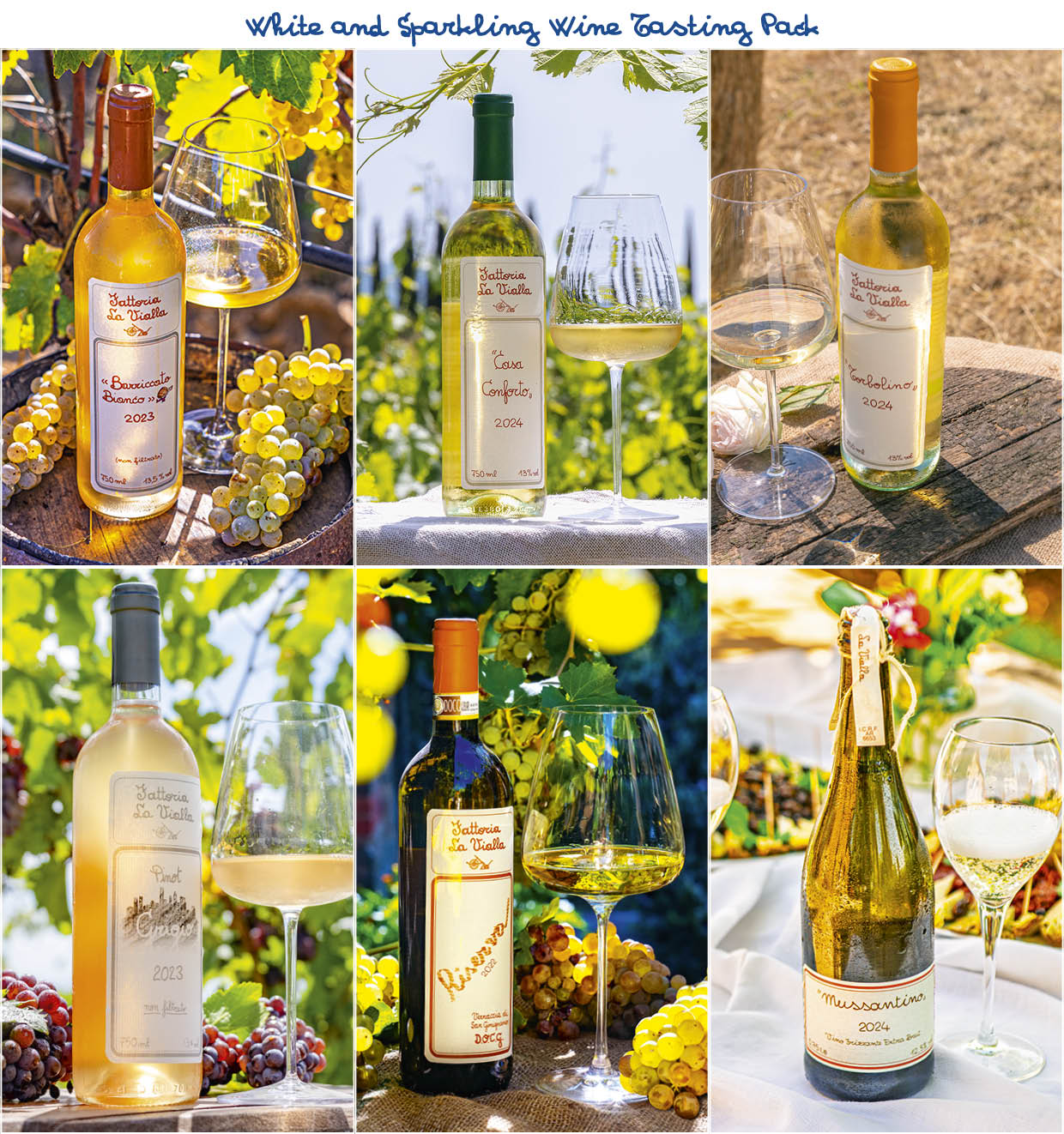 White and Sparkling Wine Tasting Pack