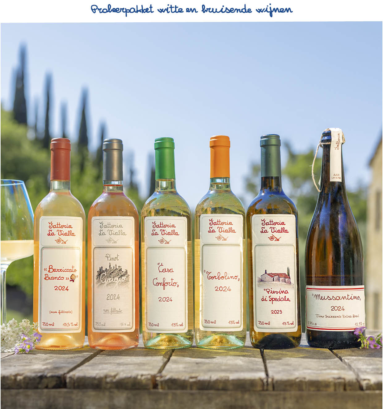  Probeerpakket witte en bruisende wijnen