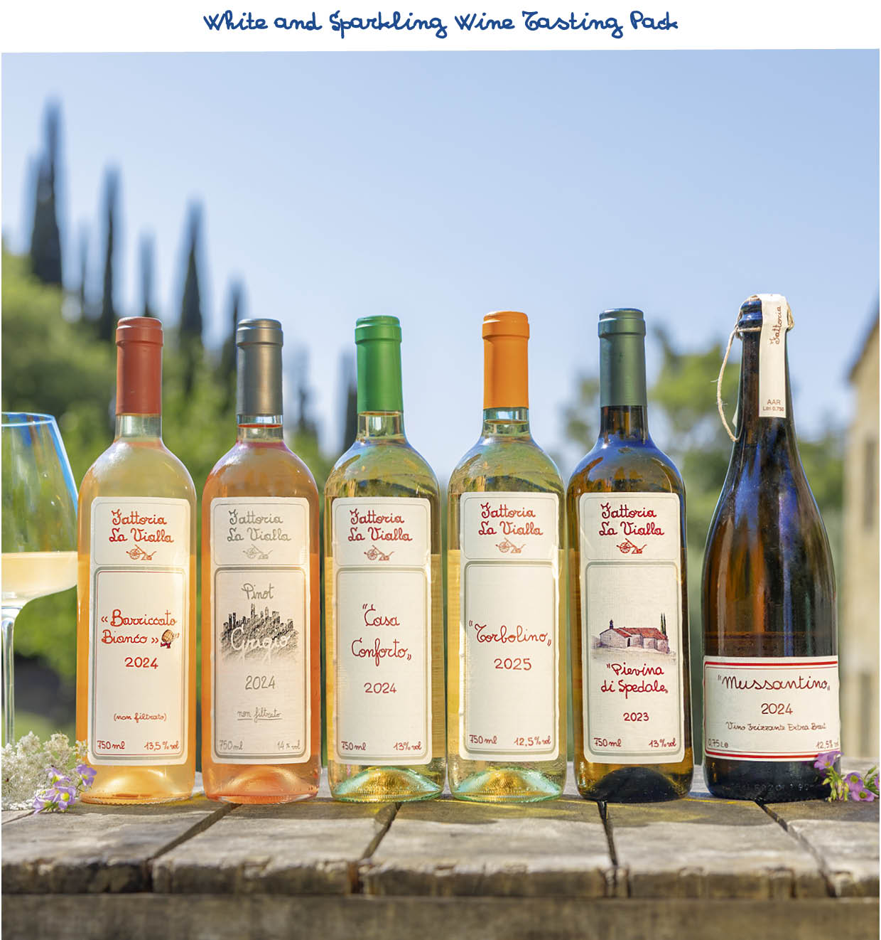 White and Sparkling Wine Tasting Pack