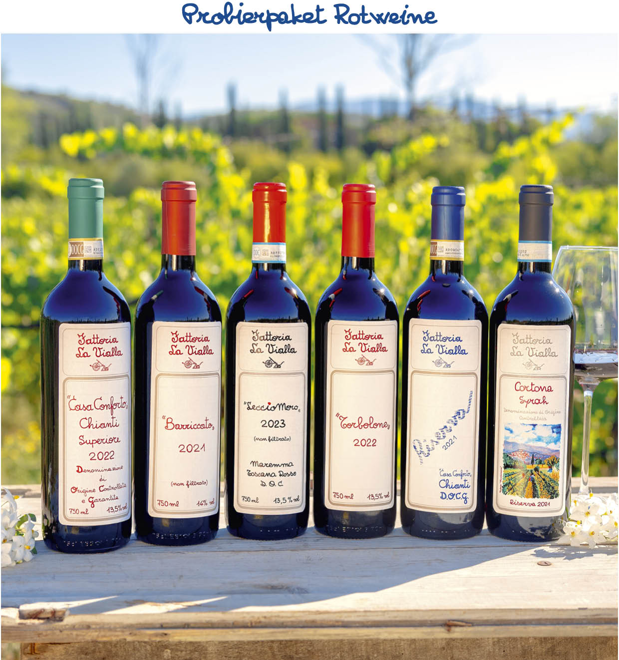 Probierpaket Rotweine