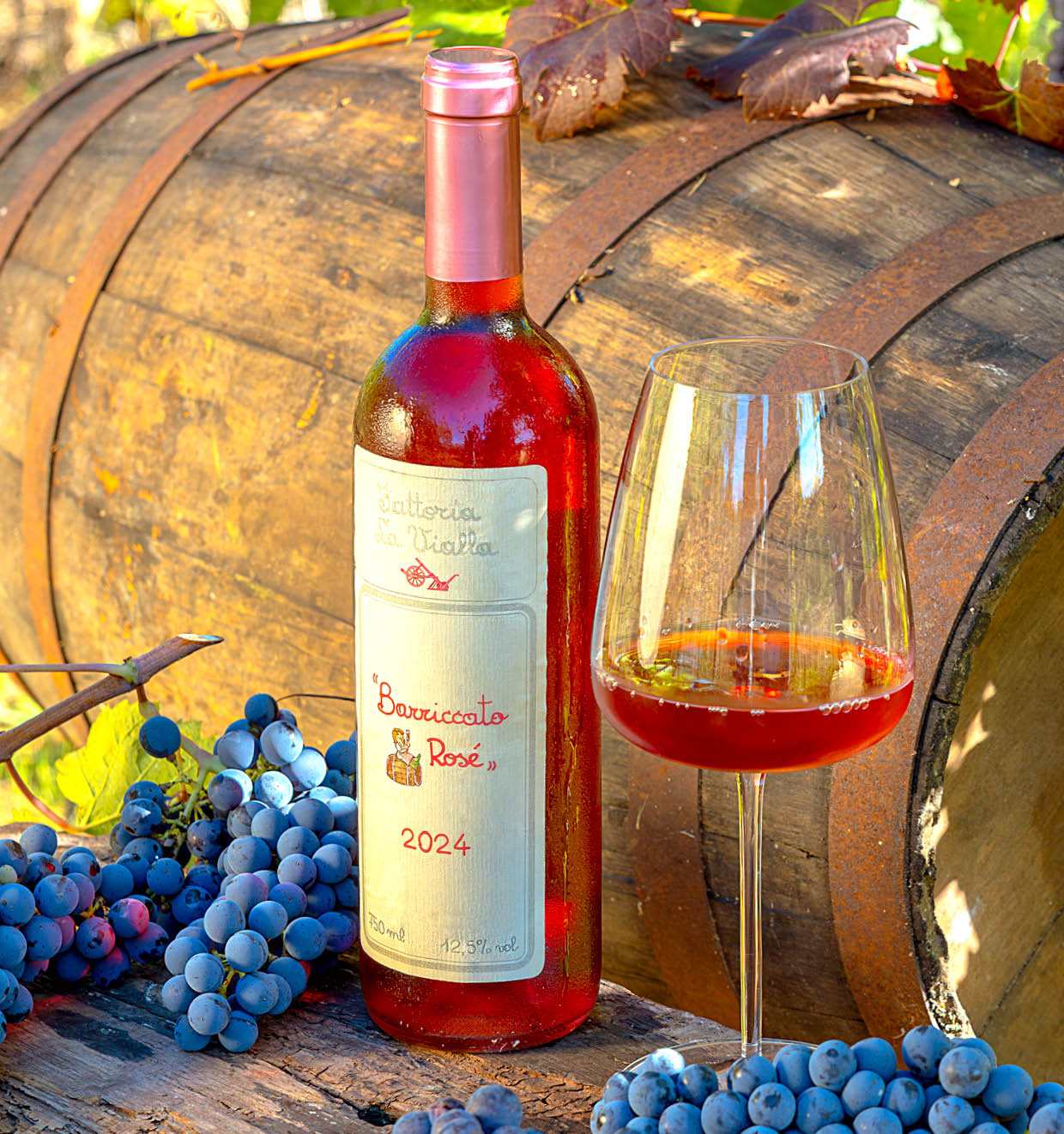 Barriccato Rosé I.G.T. 2024