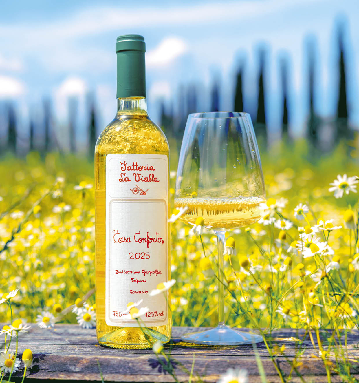 Casa Conforto I.G.T. 2025