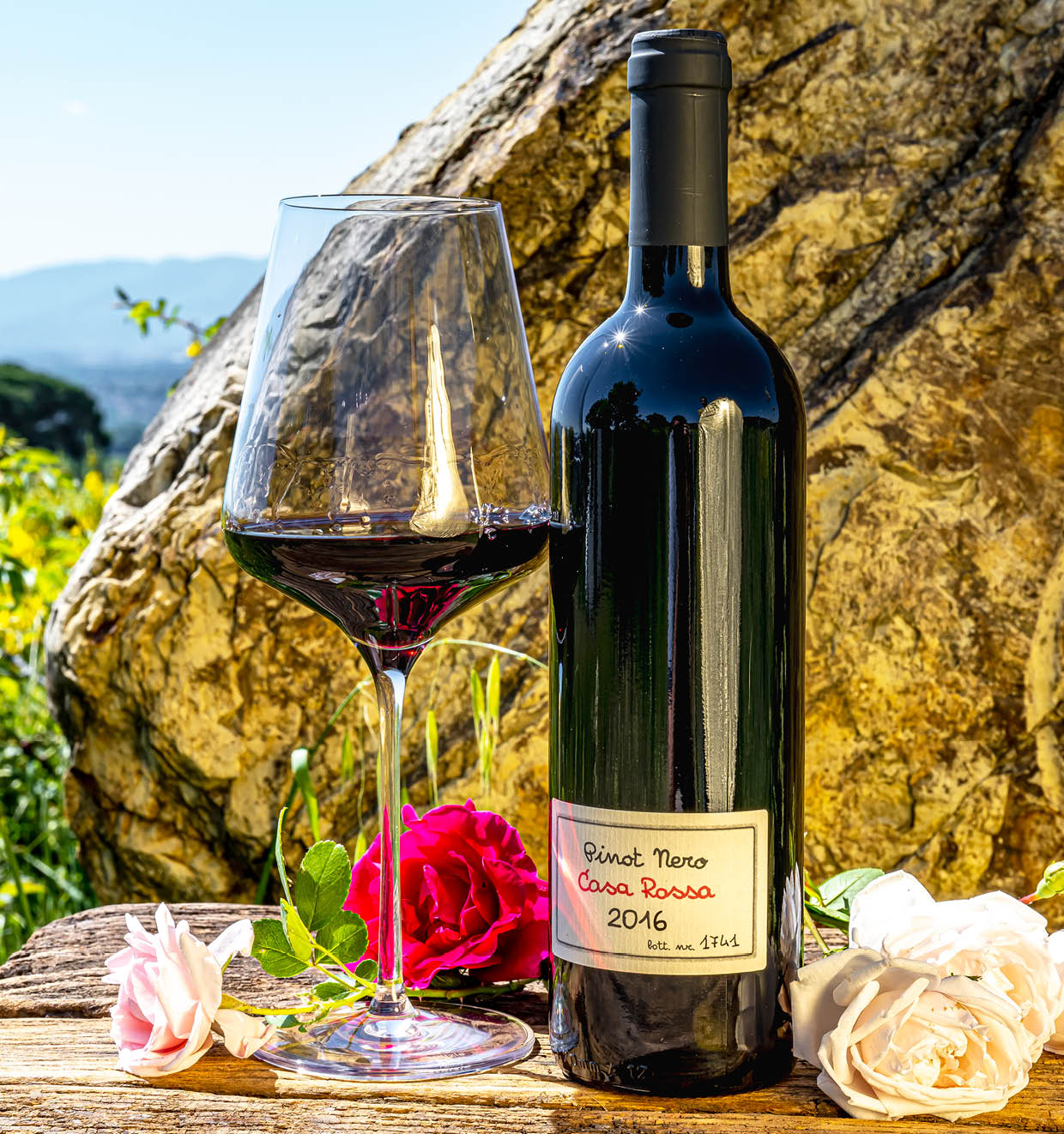 Pinot Nero Casa Rossa I.G.T. 2016