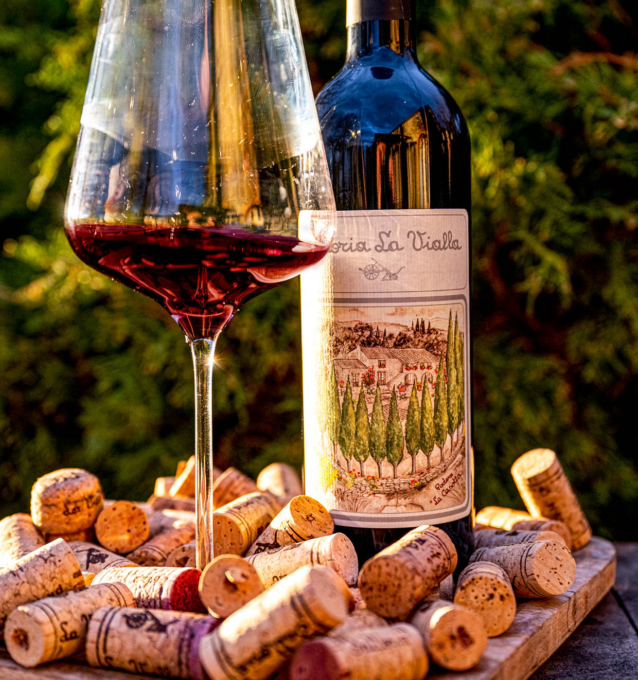 Podere La Casotta I.G.T. 2016