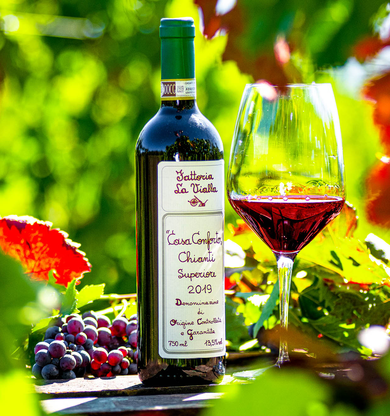 Casa Conforto Chianti Superiore D.O.C.G. 2019