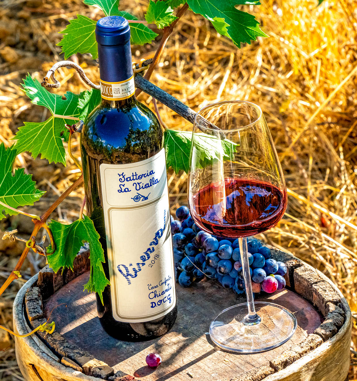 Casa Conforto Chianti Riserva D.O.C.G. 2018