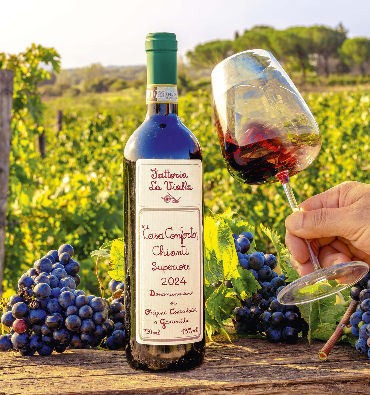Casa Conforto Chianti Superiore D.O.C.G. 2024