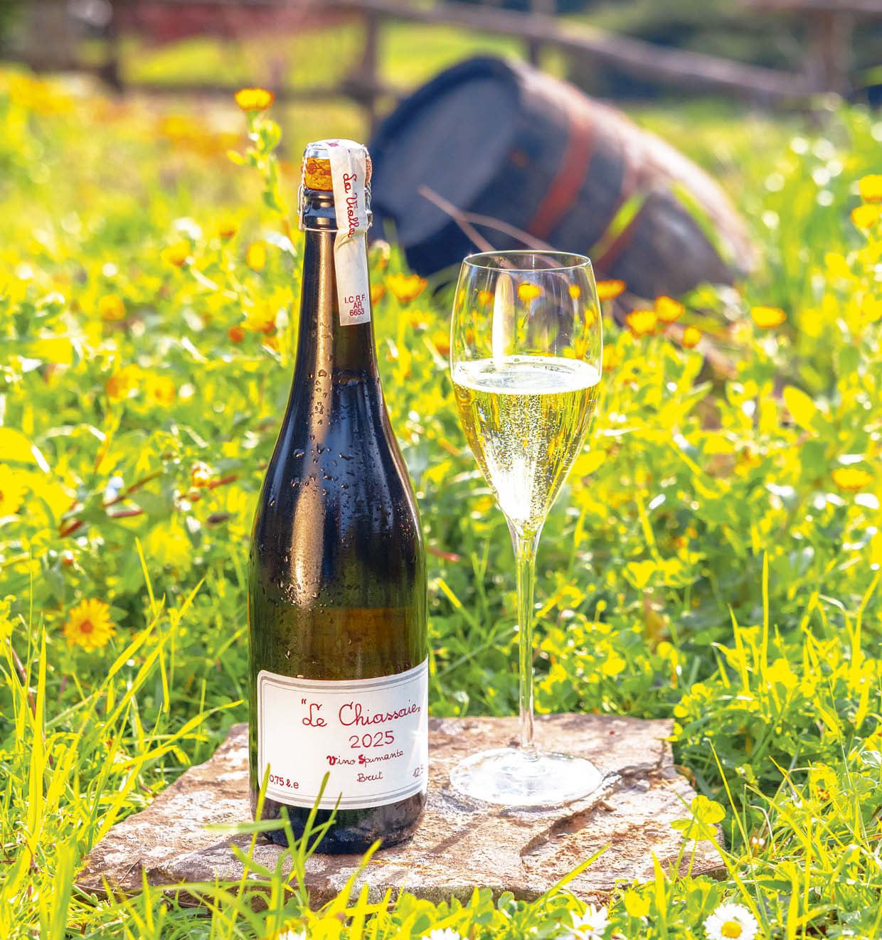 Le Chiassaie 2025