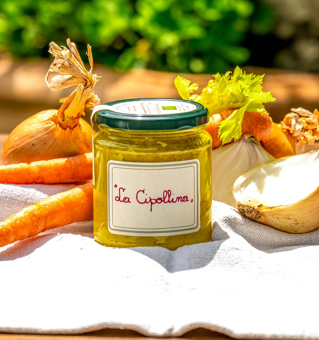 Cipollina