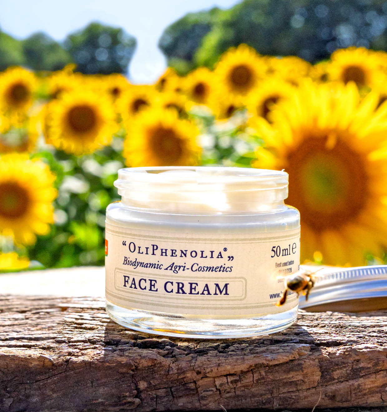 Face Cream