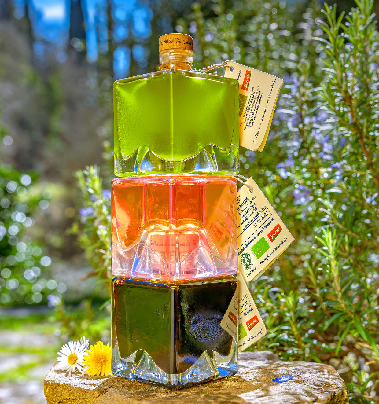 Die Würfel