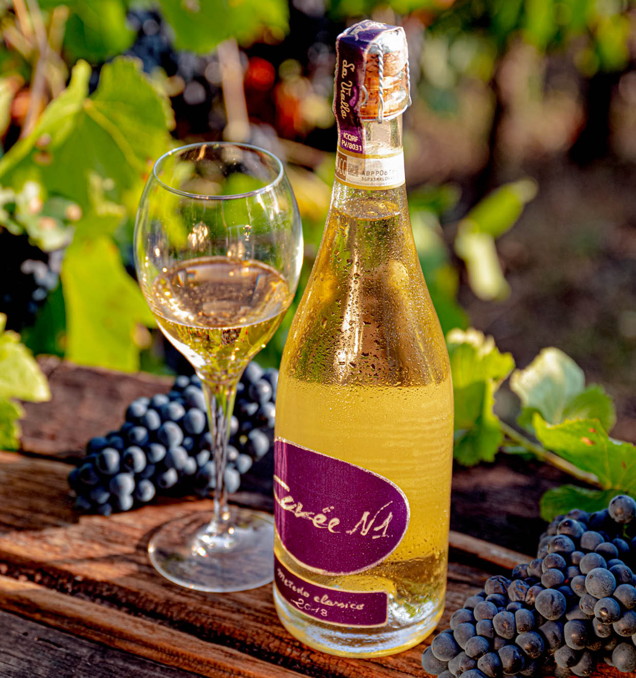 Cuvée N1 Metodo Classico Millesimato D.O.C.G. 2018