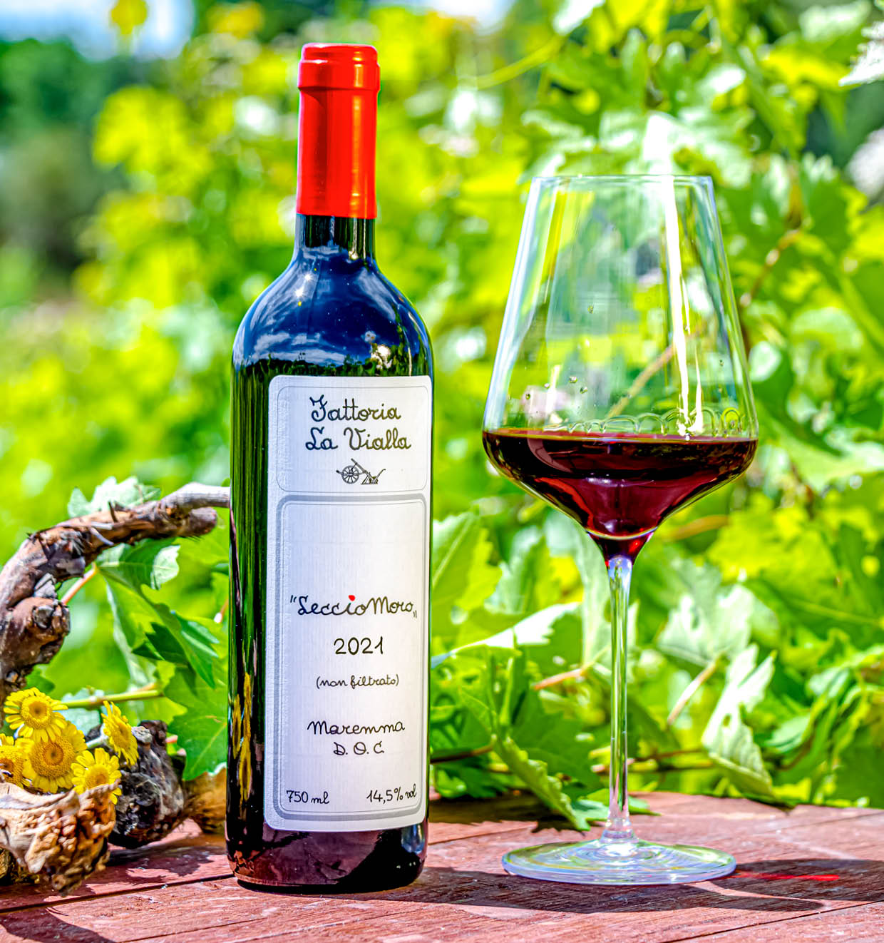 LeccioMoro Maremma Toscana D.O.C. 2021