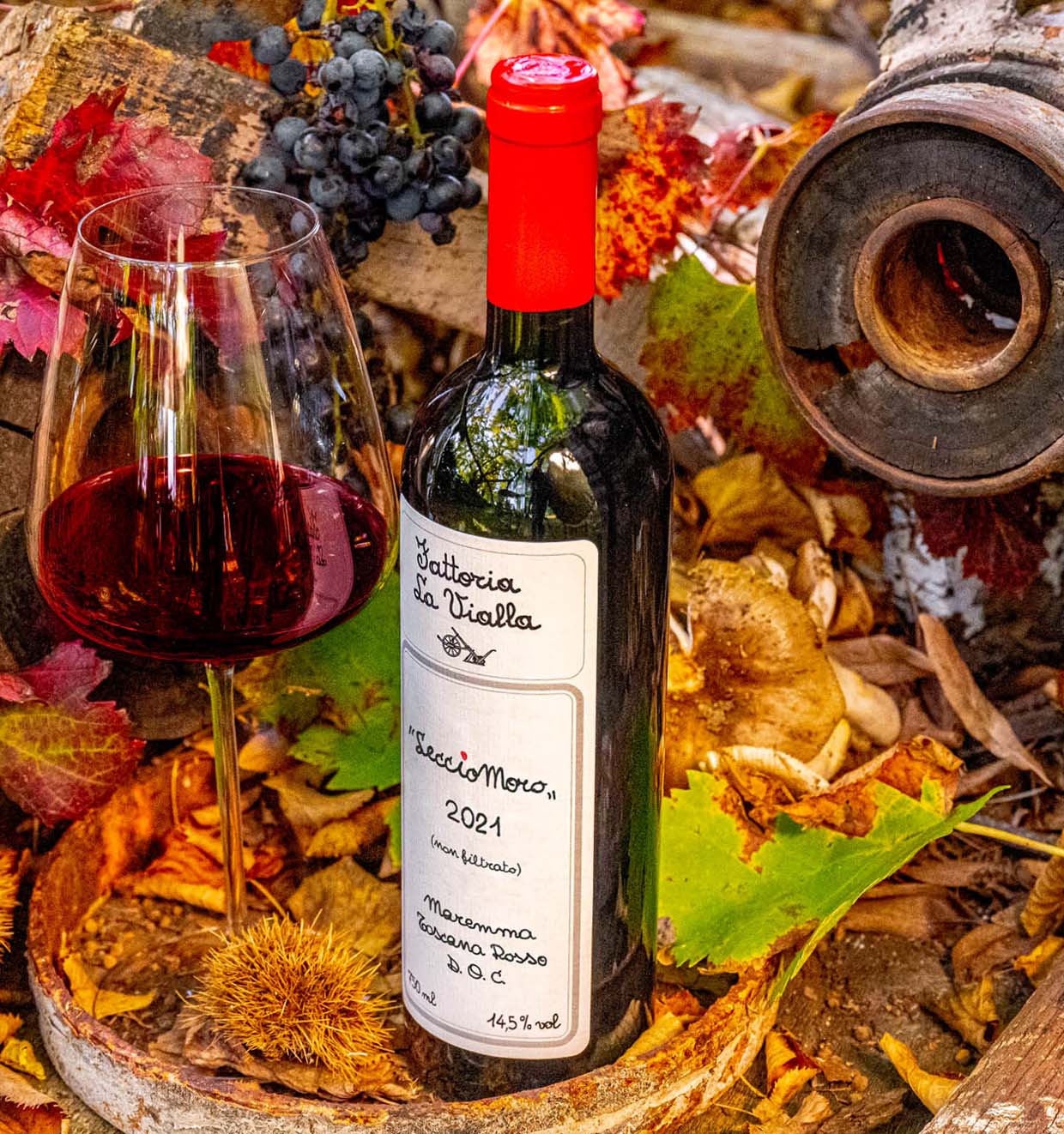 LeccioMoro Maremma Toscana Rosso D.O.C. 2021