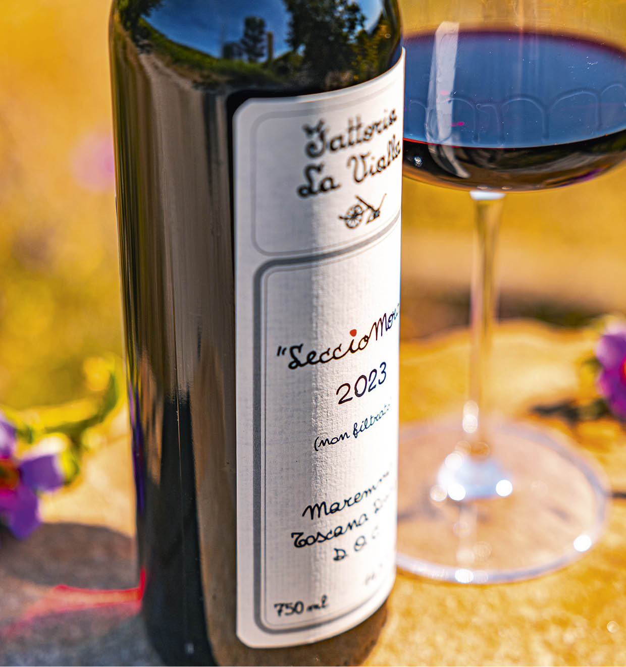 LeccioMoro Maremma Toscana Rosso D.O.C. 2023