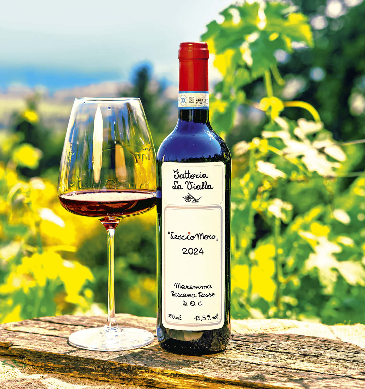 LeccioMoro Maremma Toscana Rosso D.O.C. 2024