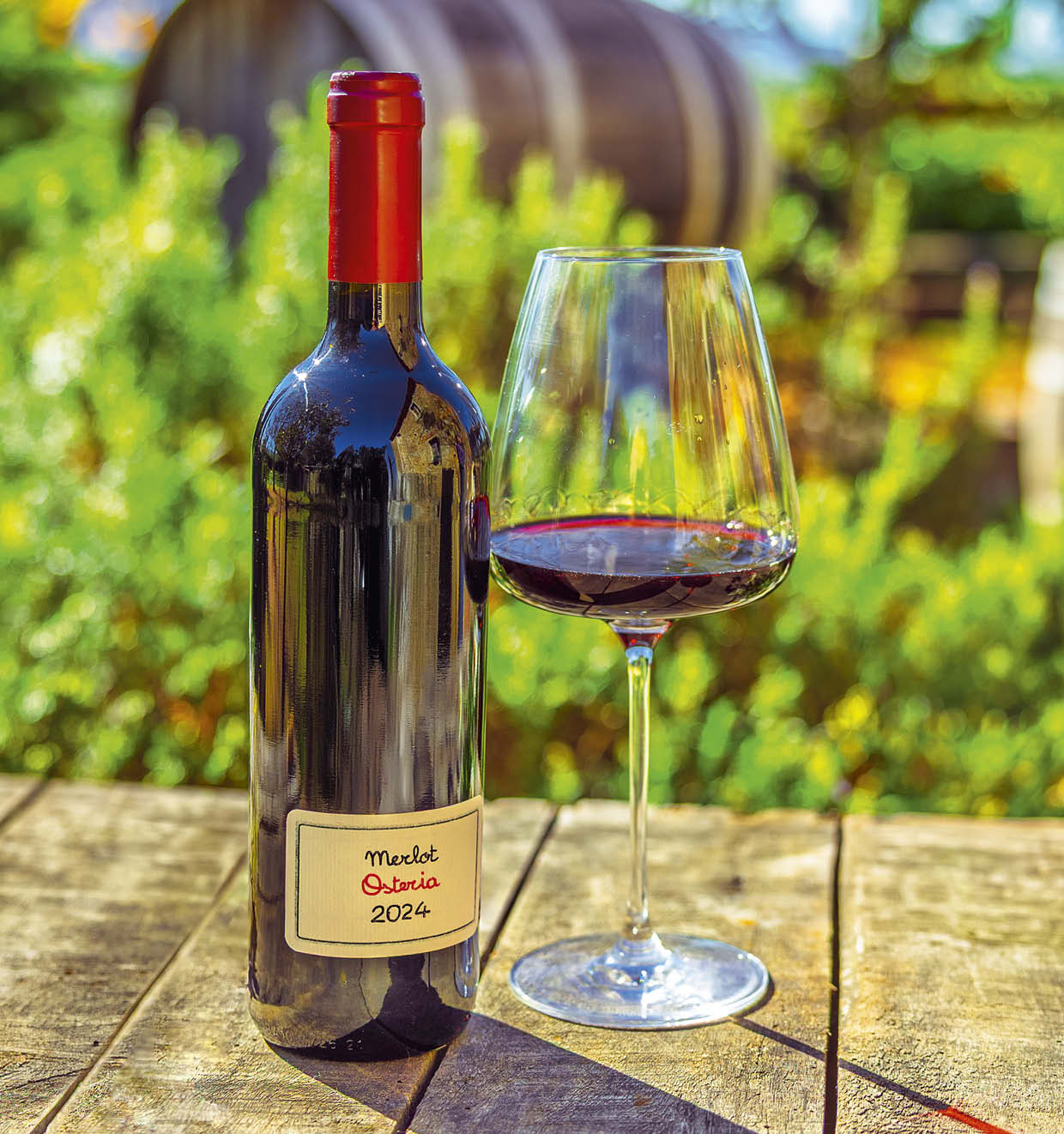 Merlot Osteria I.G.T. Toscana 2024