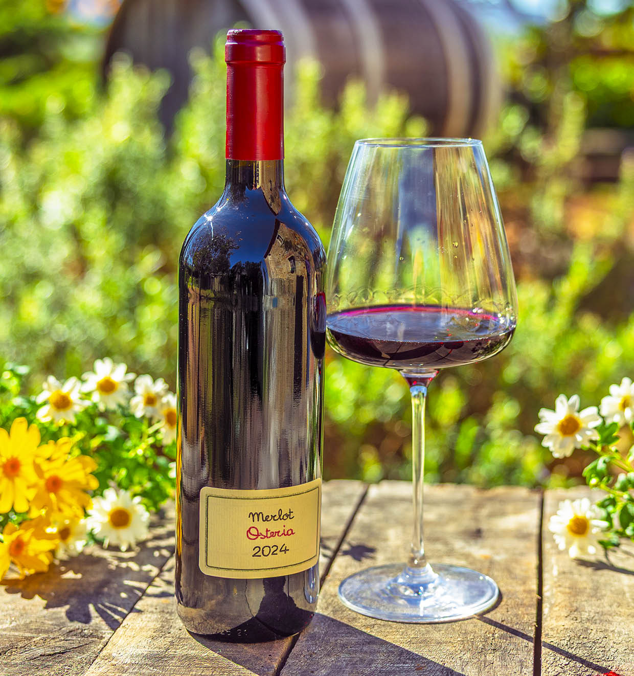 Merlot Osteria I.G.T. Toscana 2024