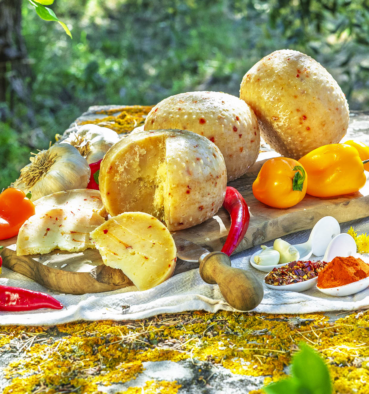 Mini-Pecorino mit Paprika, Knoblauch und Chili