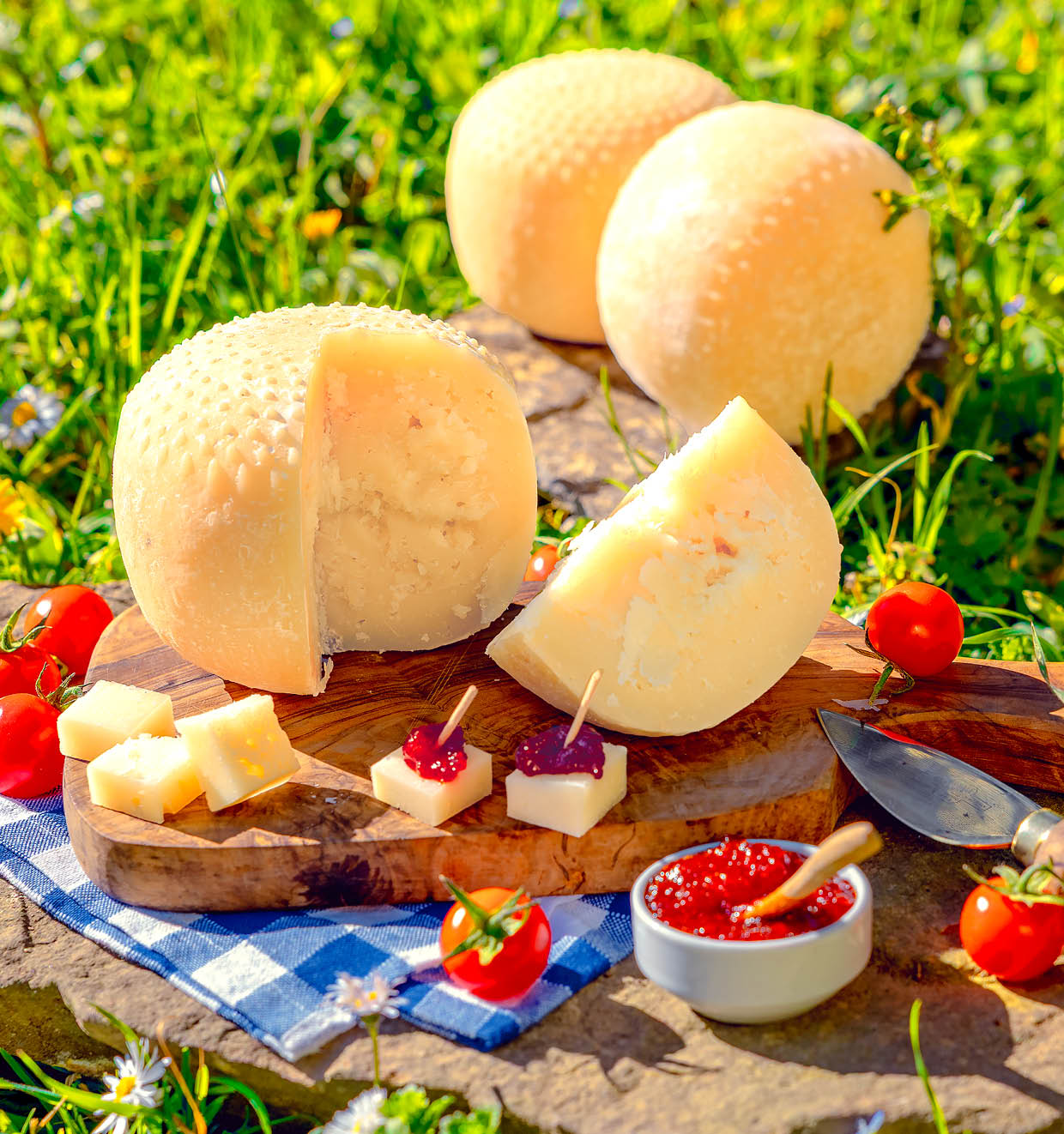 Der frische Mini-Pecorino