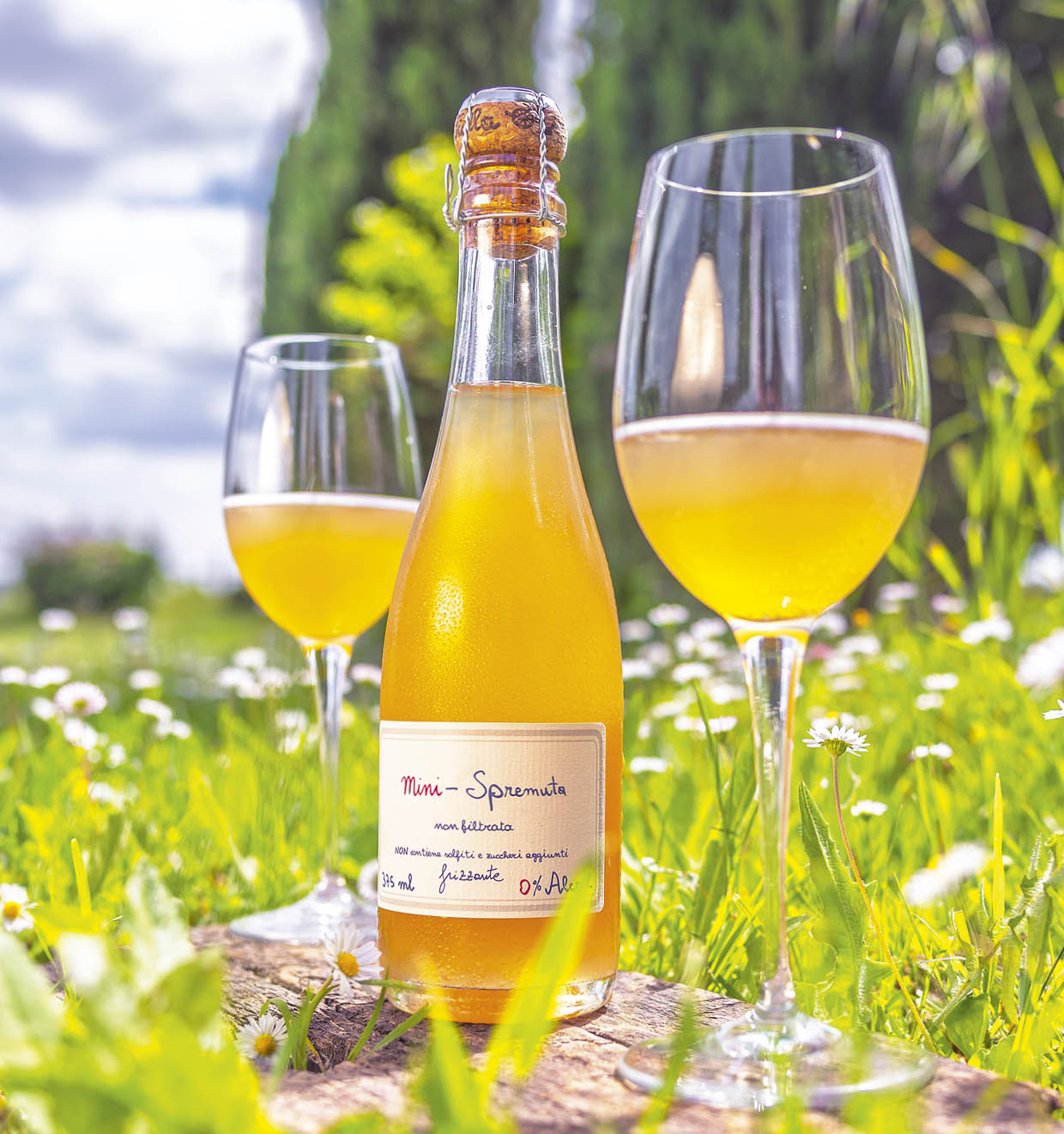 Mini-Spremuta Frizzante 2025