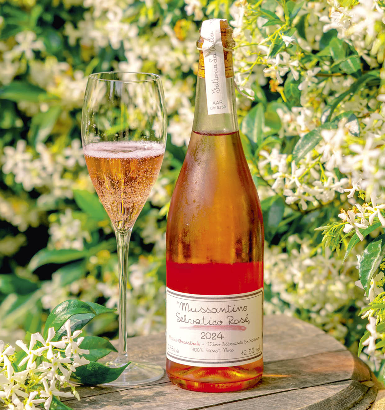 Mussantino Selvatico Rosé 2024