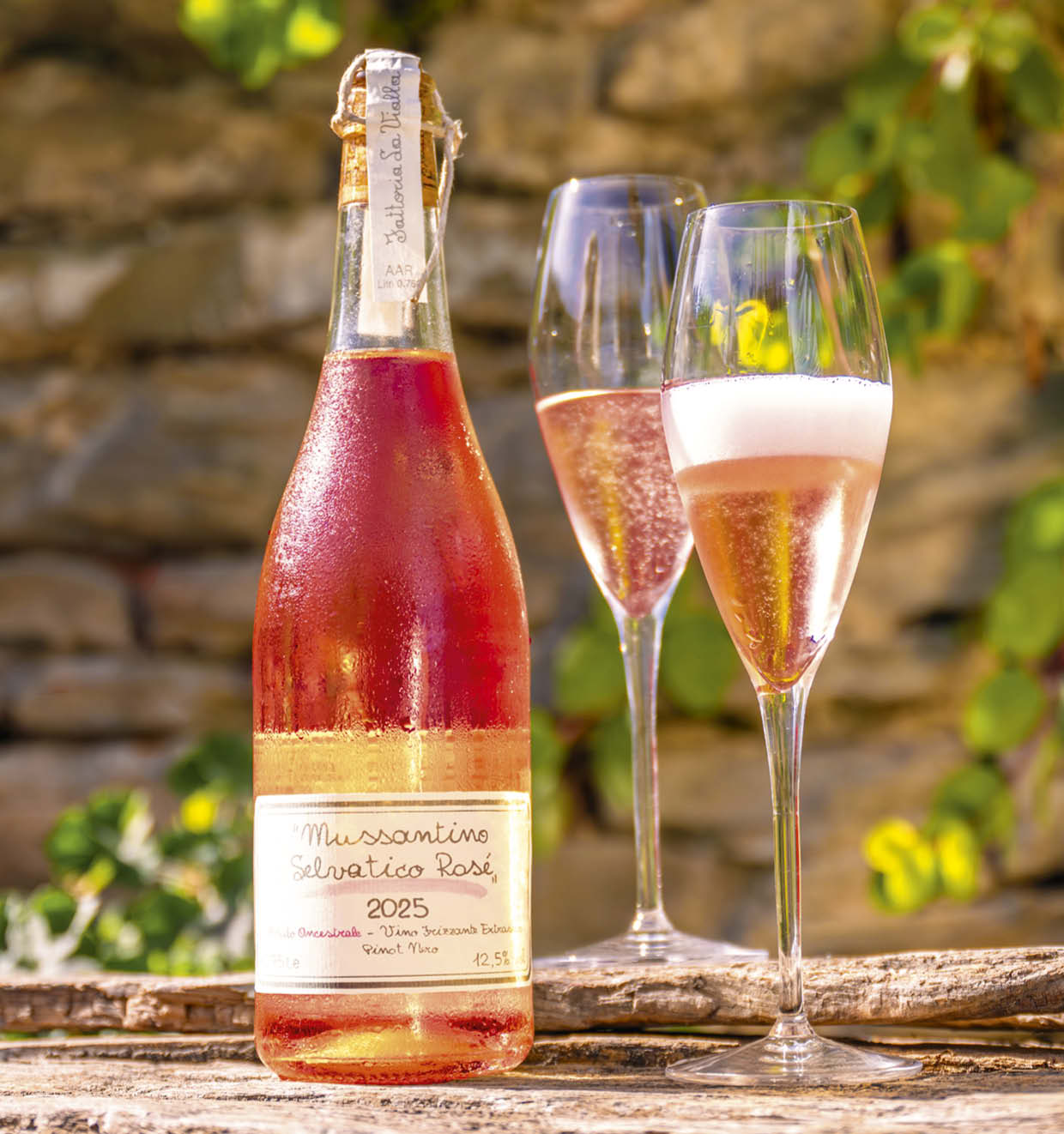 Mussantino Selvatico Rosé, Metodo Ancestrale 2025