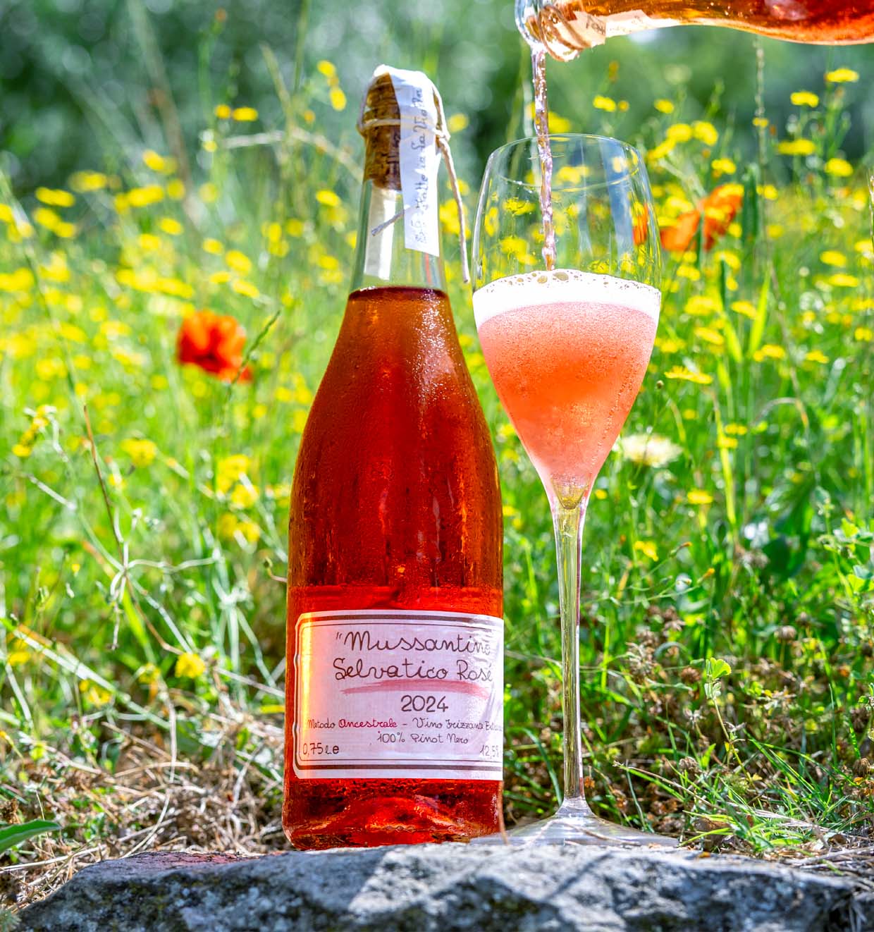Mussantino Selvatico Rosé 2024
