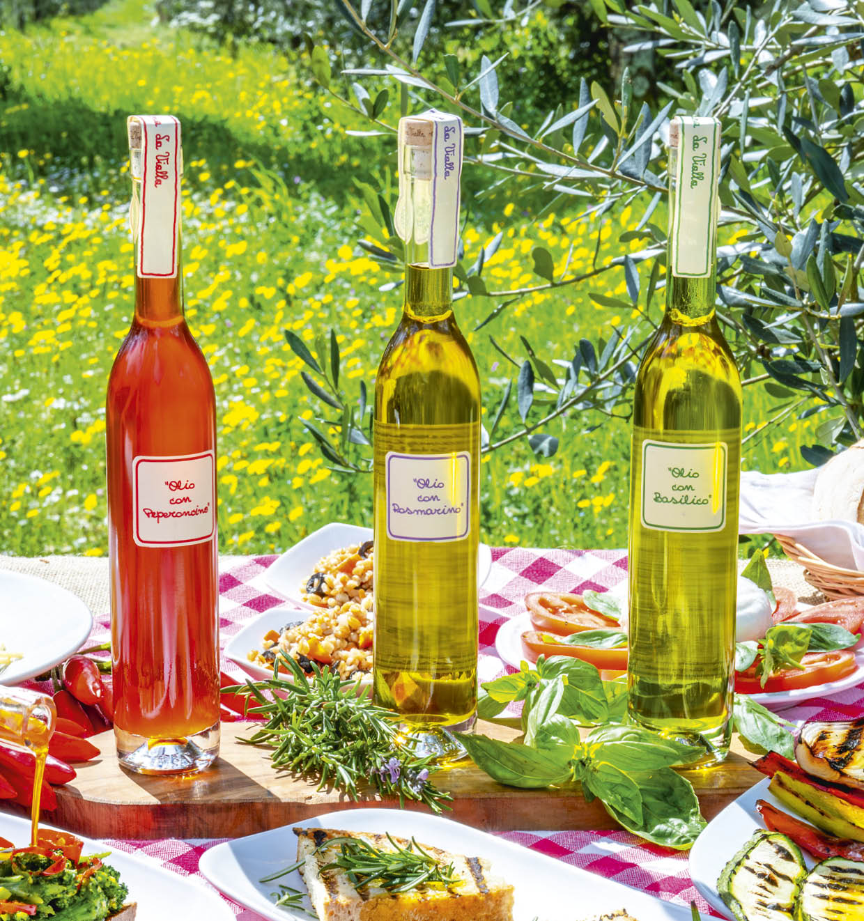 Die Olivenöle Extravergine mit Chilischote, Rosmarin, Basilikum