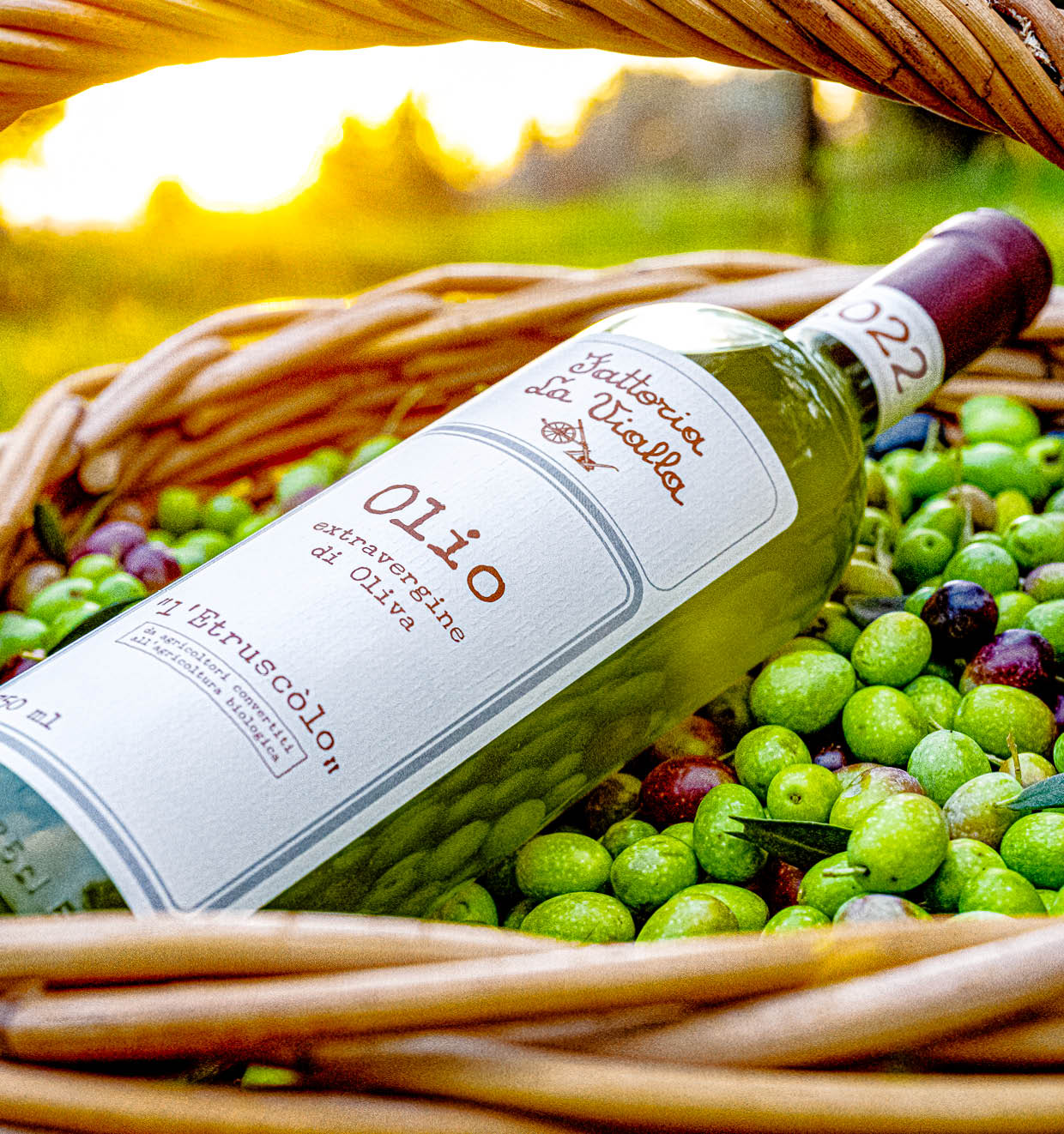 Extra Virgin Olive Oil 2022<br>'l' Etruscòlo'