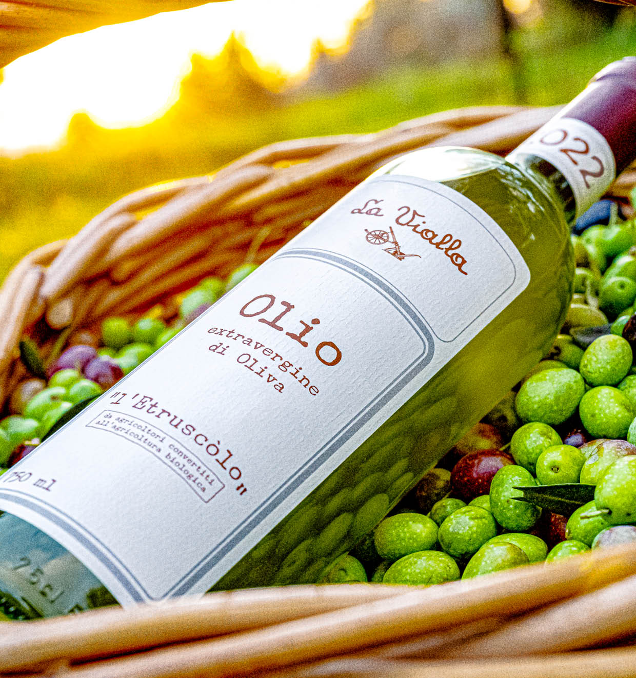 Olivenöl Extravergine 2022<br>'l' Etruscòlo'