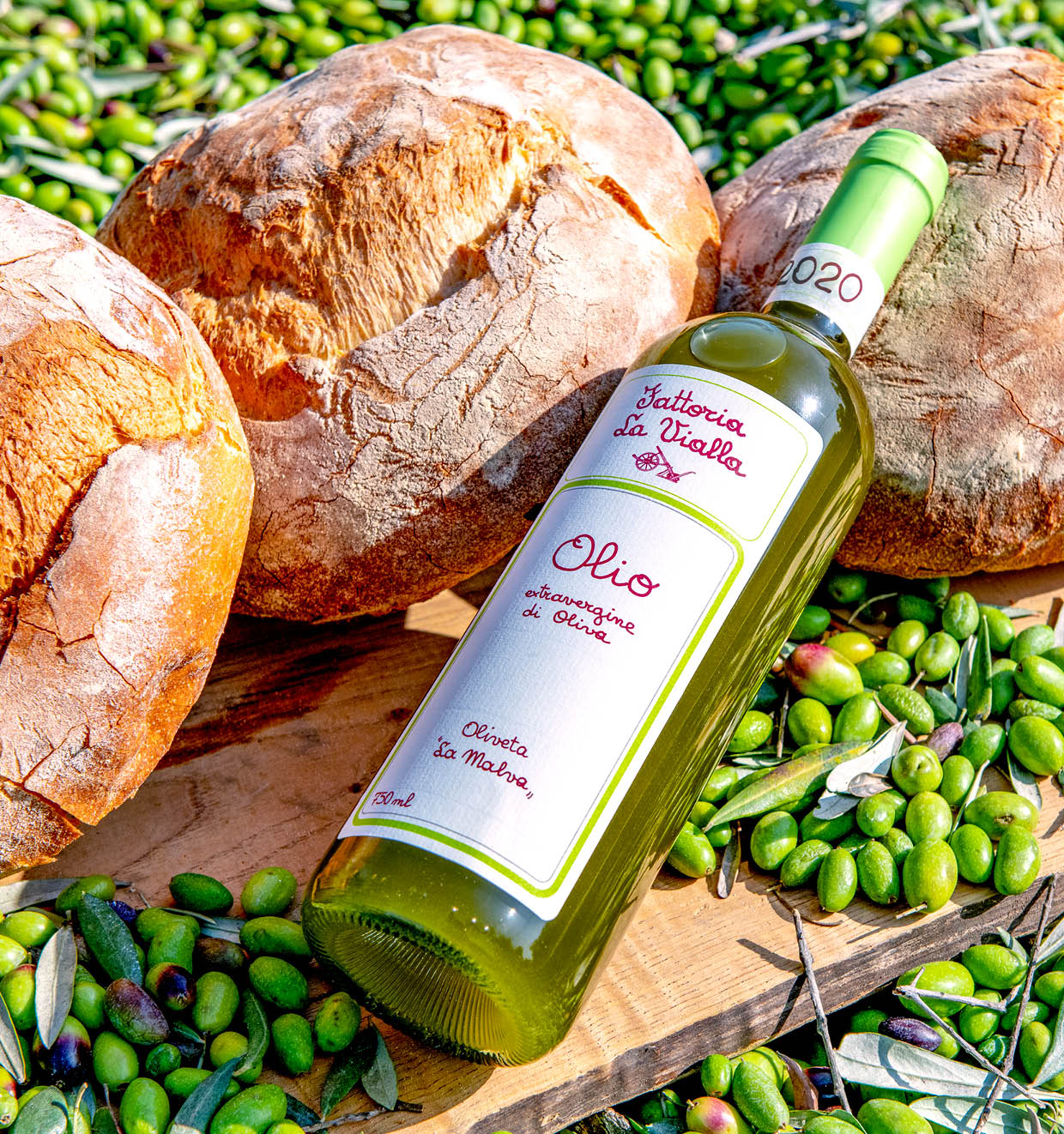 Olivenöl Extravergine 2020<br>'La Malva'