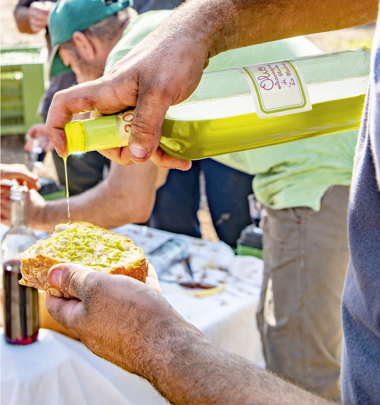 Olivenöl Extravergine 2024<br>'La Malva'