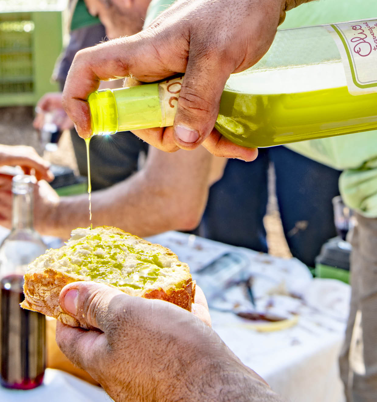 Olivenöl Extravergine 2025<br>'La Malva'