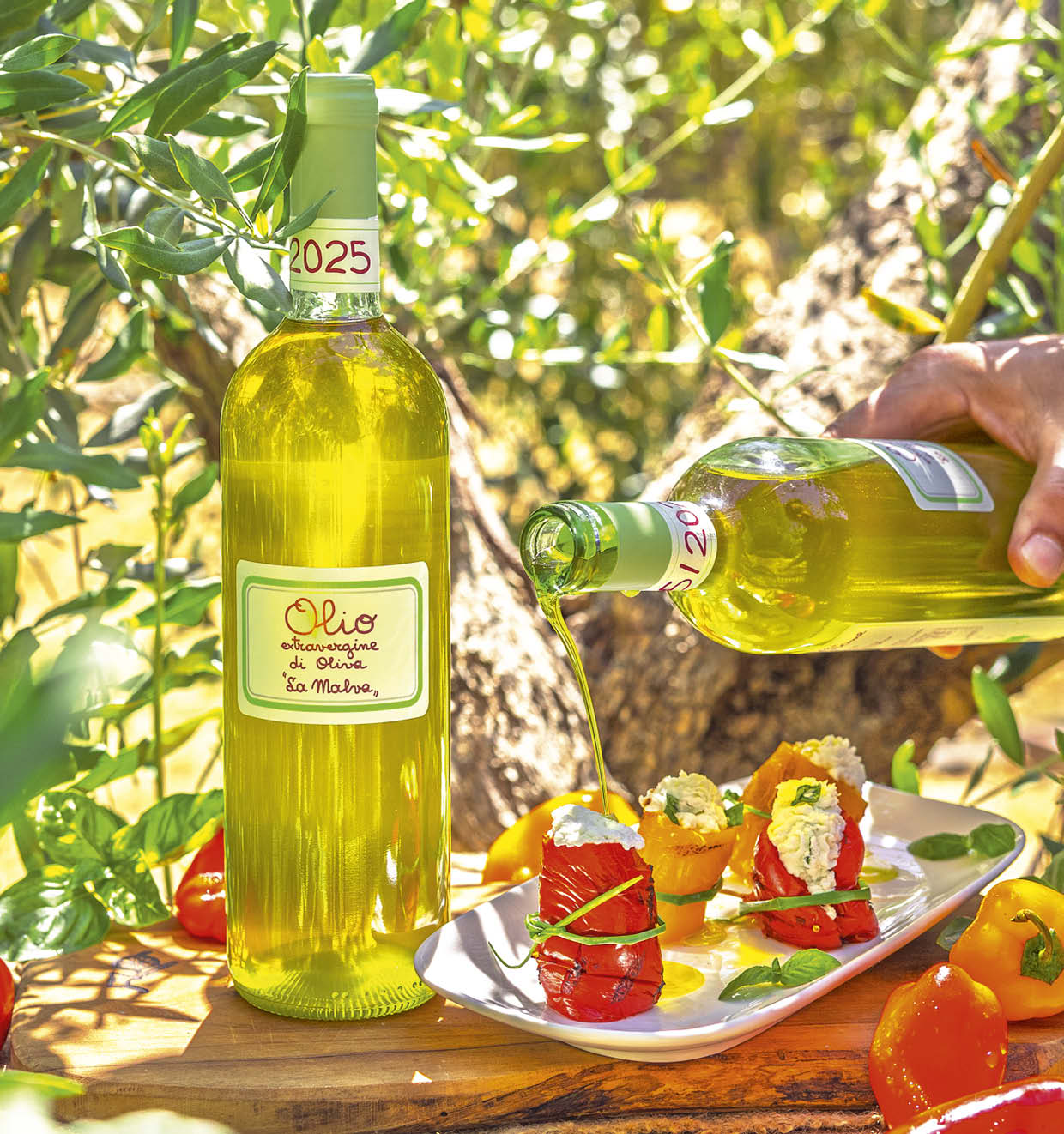 Extra Virgin Olive Oil 2025<br>'La Malva'