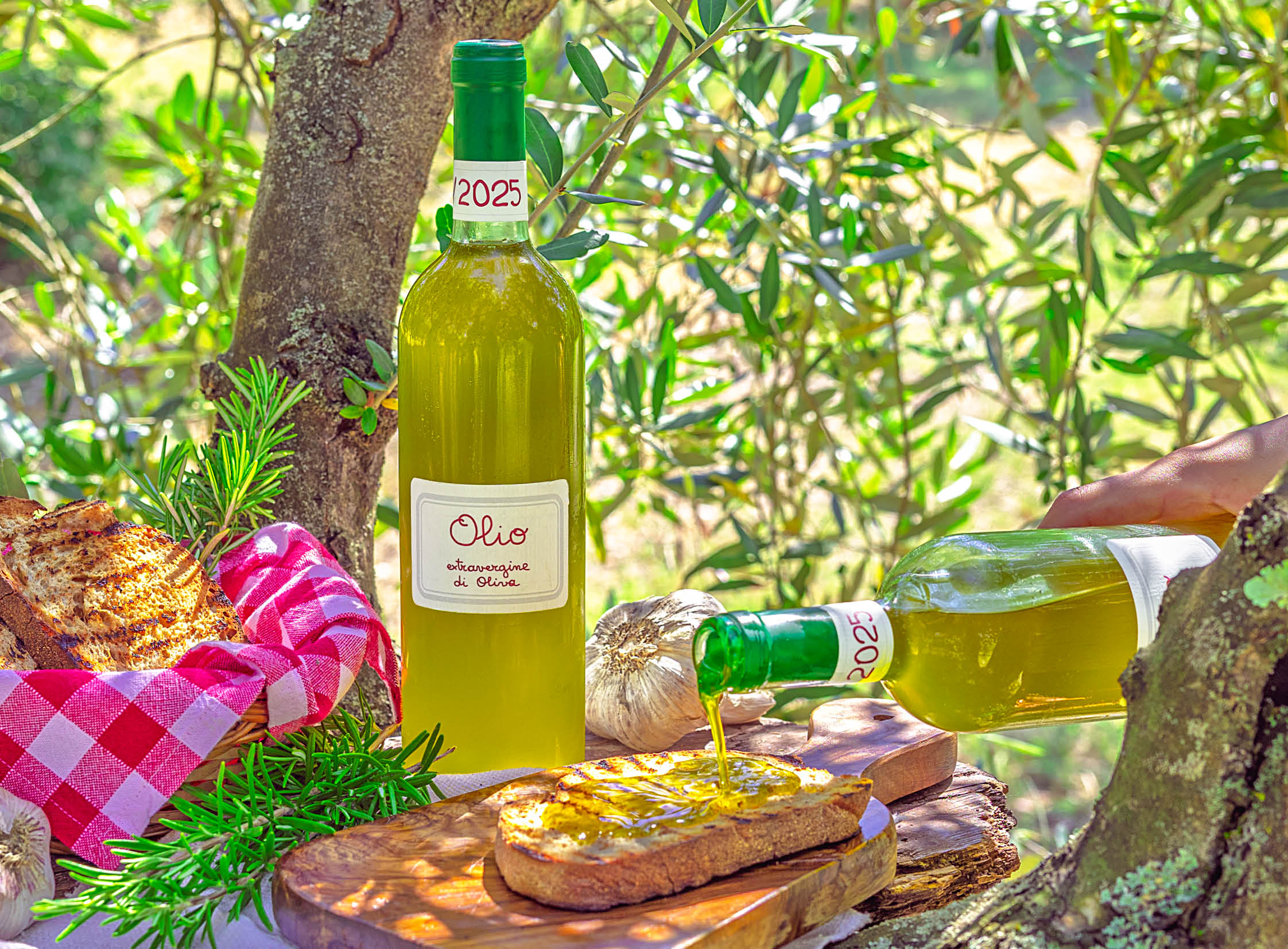 Extra Virgin Olive Oil 2025 (Box with 6 bottles of 0.75 l (25.40