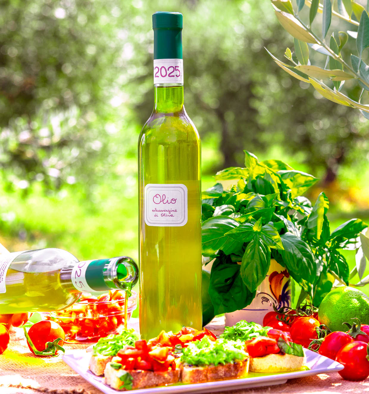 Olivenöl Extravergine 2025 (0,5 l)<br>'La Vialla'